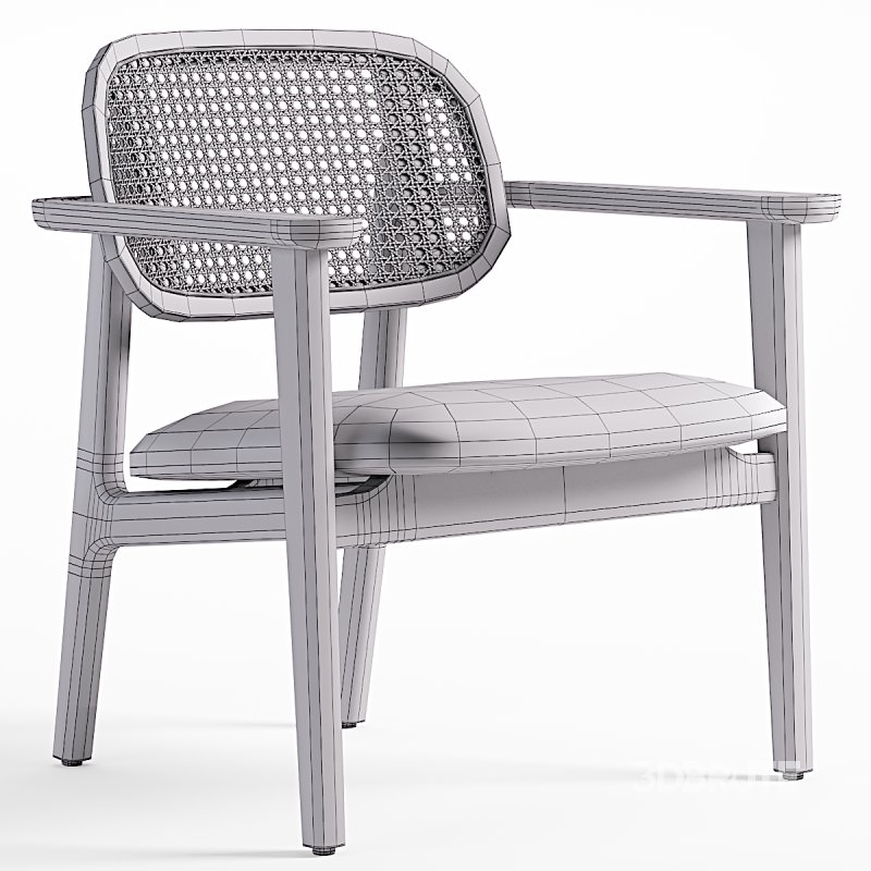 Vincent Sheppard TITUS lounge chair Image 6