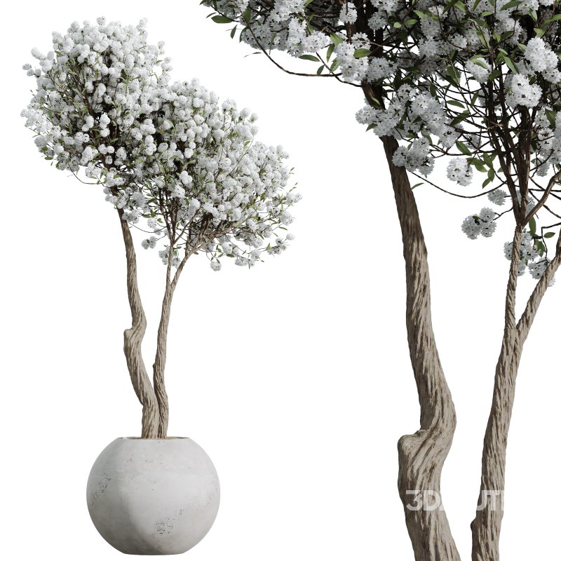 AV Tropez Planter Cherry Blossom Decorative Tree Image 7