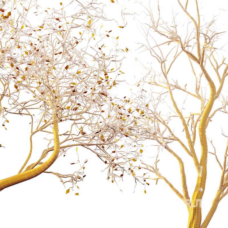 AV Winter Dry Tree Image 4