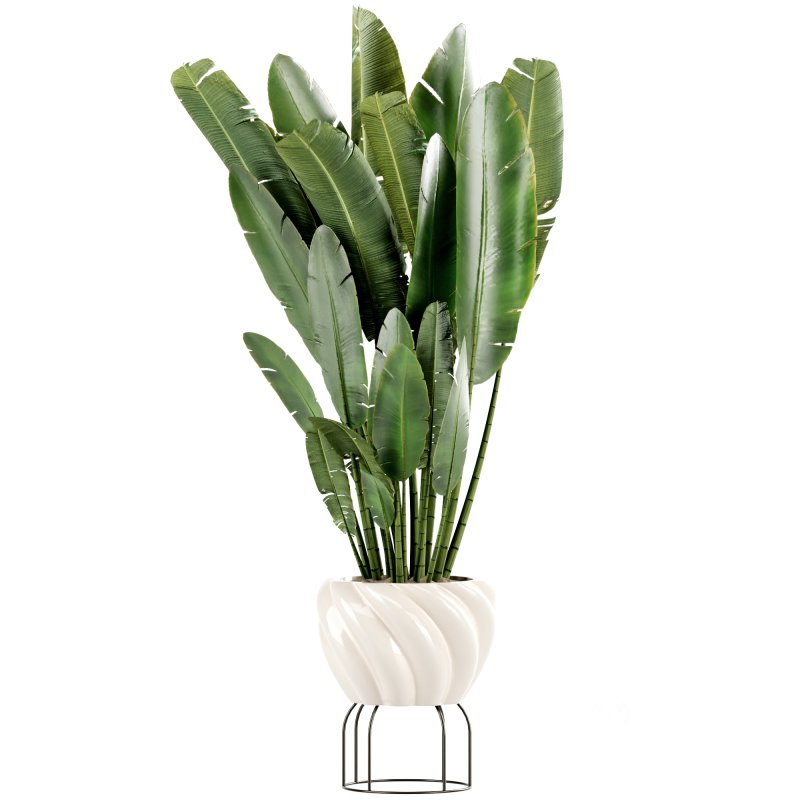 Indoor Plants set 165 Image 3