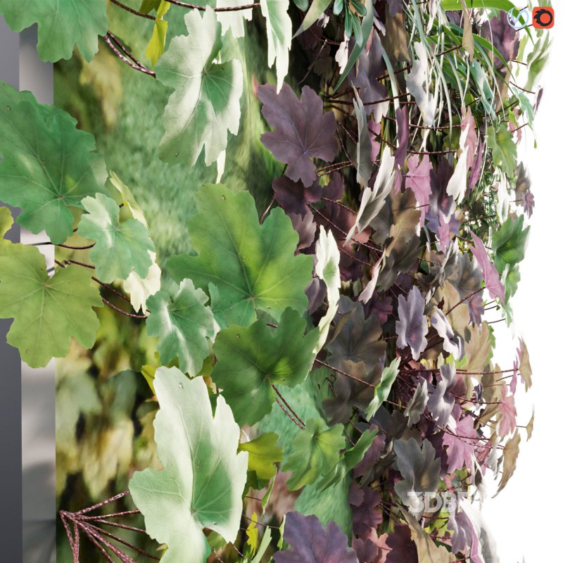 Vertical garden – Green wall – 01 Image 2