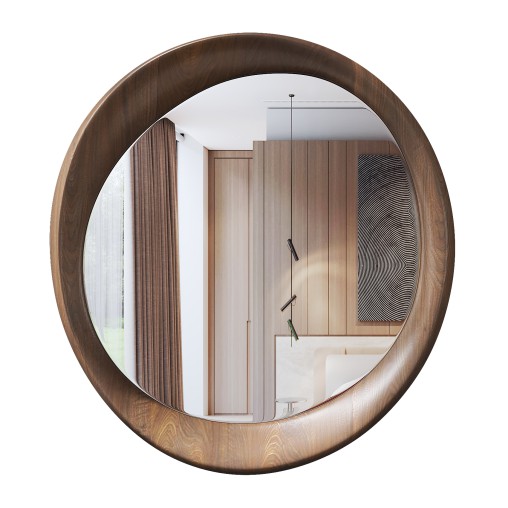 Asymmetric Mirror
