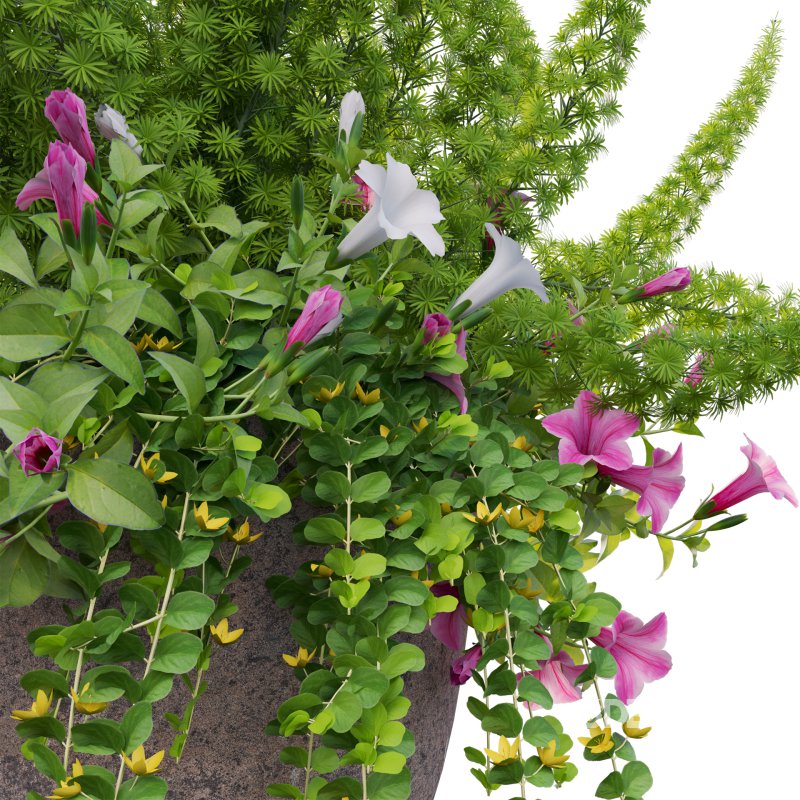 Pot plant 01 Image 4