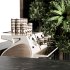 Coffee Bar with Plants-set13 - Thumbnail 2
