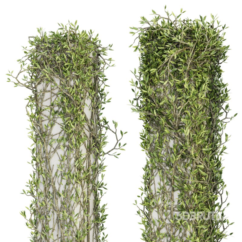 Outdoor Plant Set 010 Image 4