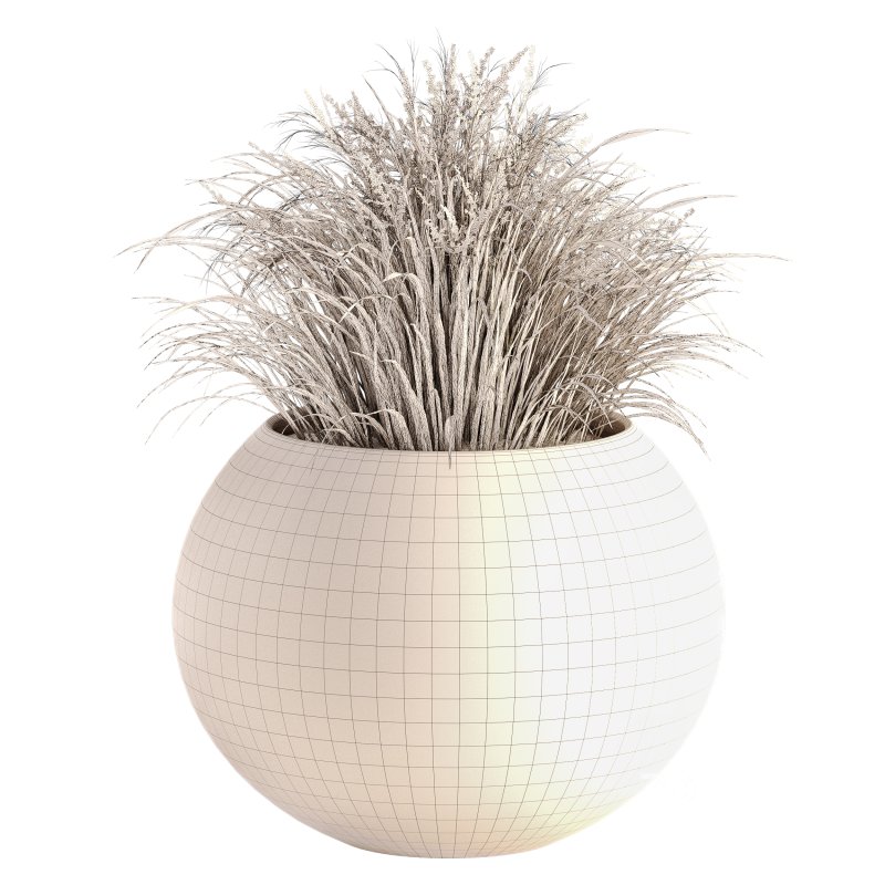 Outdoor Plant Set 016 Image 4