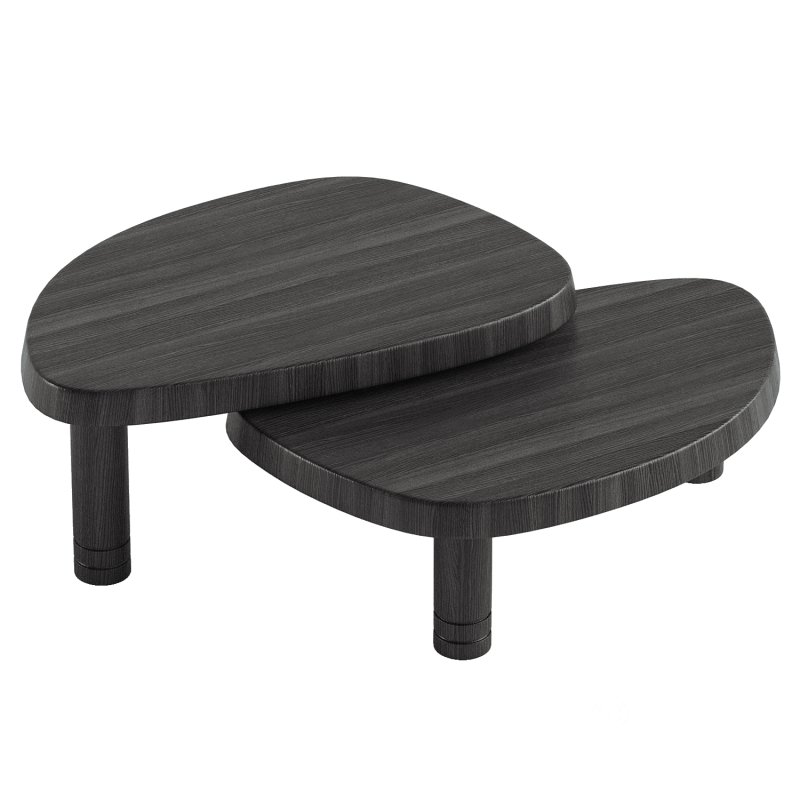 La siamoise Coffee Table Image 3