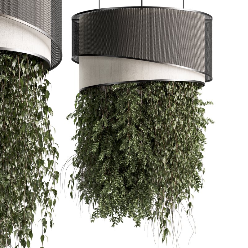 Indoor plants Hanging Plants set90 Image 2