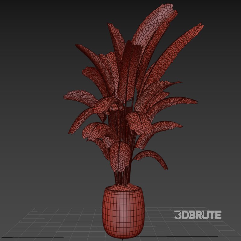 Indoor plant 03 Image 5