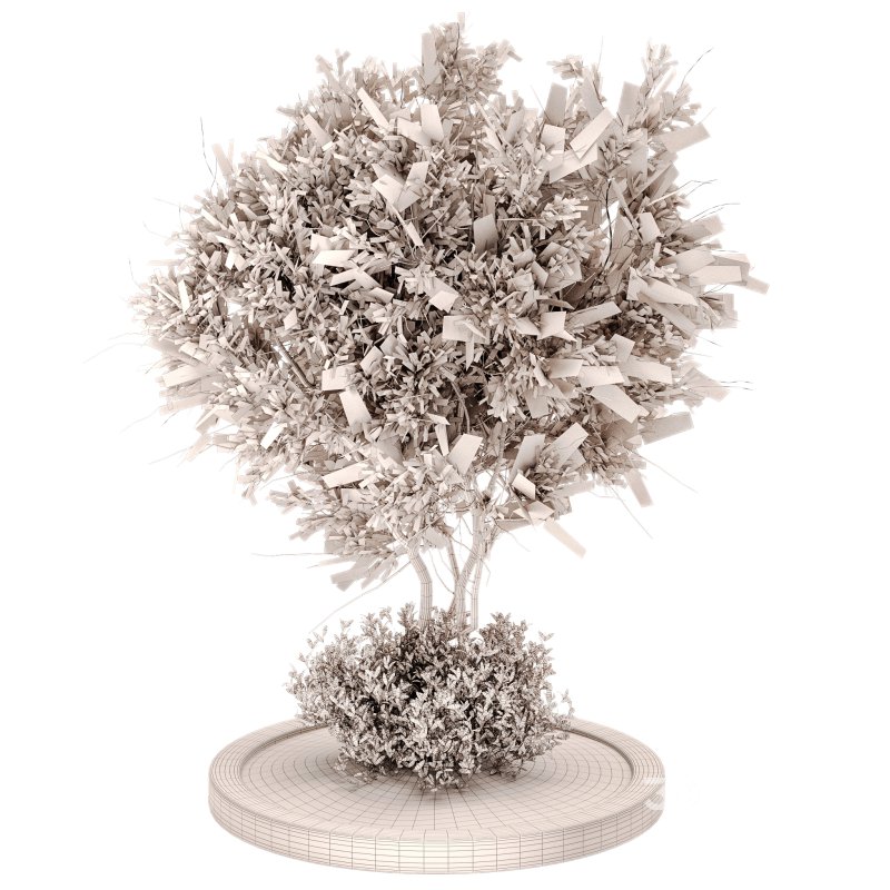 Outdoor Plant Set 011 Image 4