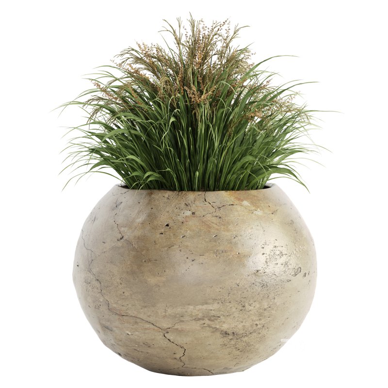 Outdoor Plant Set 016 Image 1