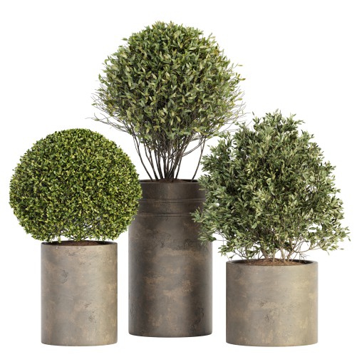 Outdoor Plant Set 015