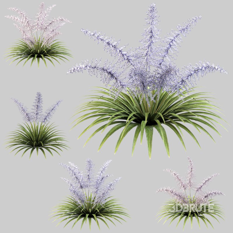 Lush garden shrub Image 4