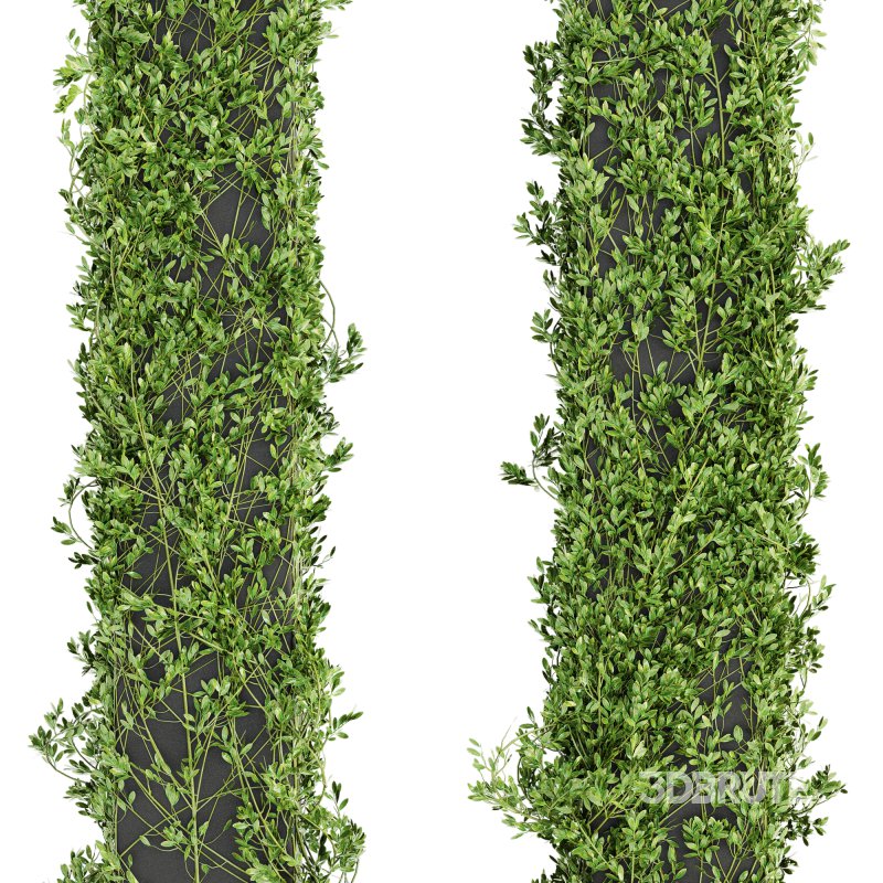 Outdoor Plant Set 012 Image 2