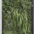 interior vertical plant green wall set 342 - Thumbnail 2