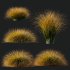 AV Carex Testacea Orange Sedge Grass Prairie Fire - Thumbnail 10