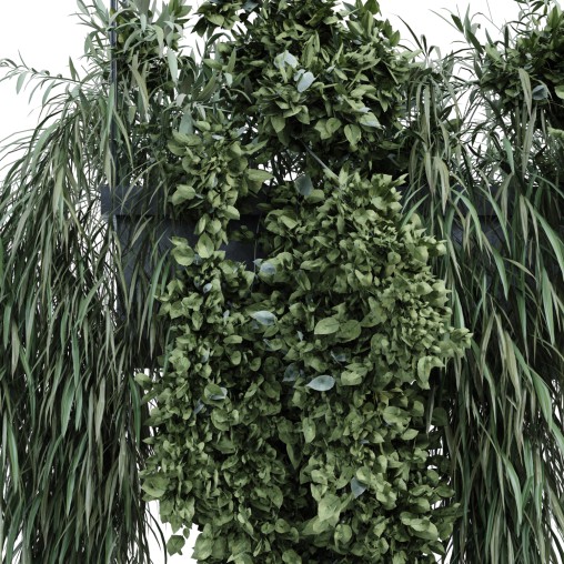 green plant in box 359