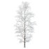 AV Plants Carpinus Betulus Winter Snow - Thumbnail 1