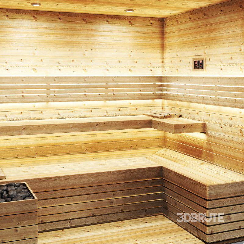 Sauna 02 and steam room Image 5