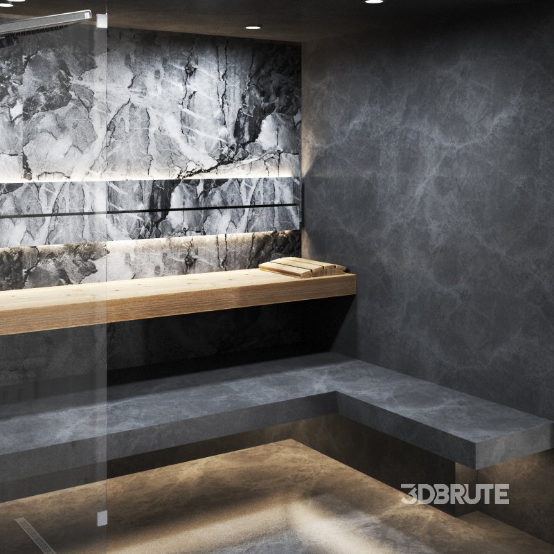 Sauna 02 and steam room Image 4