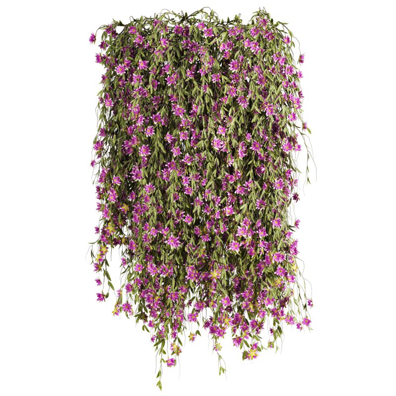 hanging plants Image 1