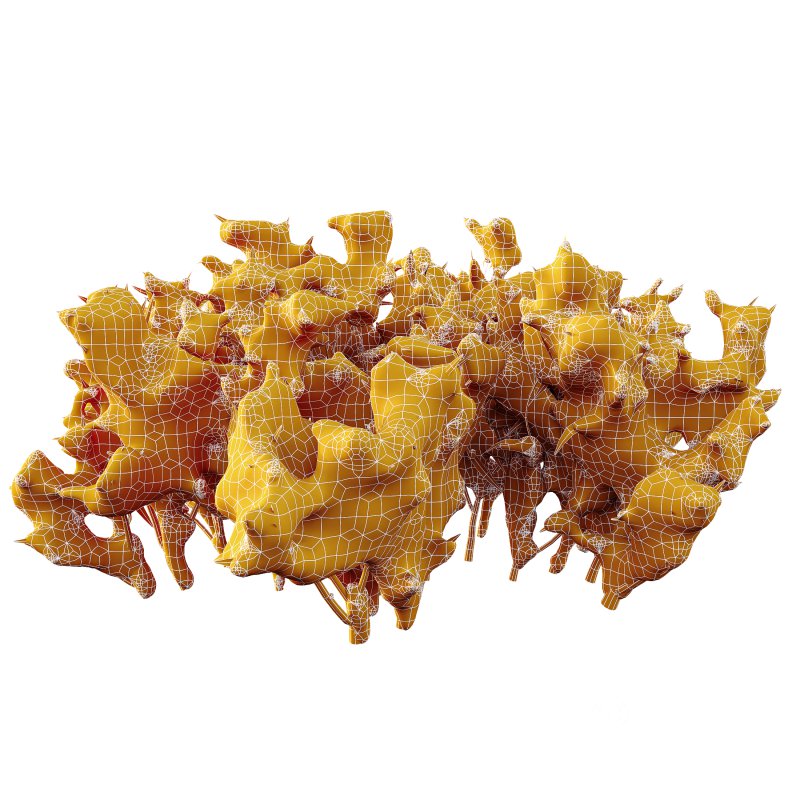 AV Plants Salvia Leucantha Mexican Sage Santa Barbara Winter Snow Image 3