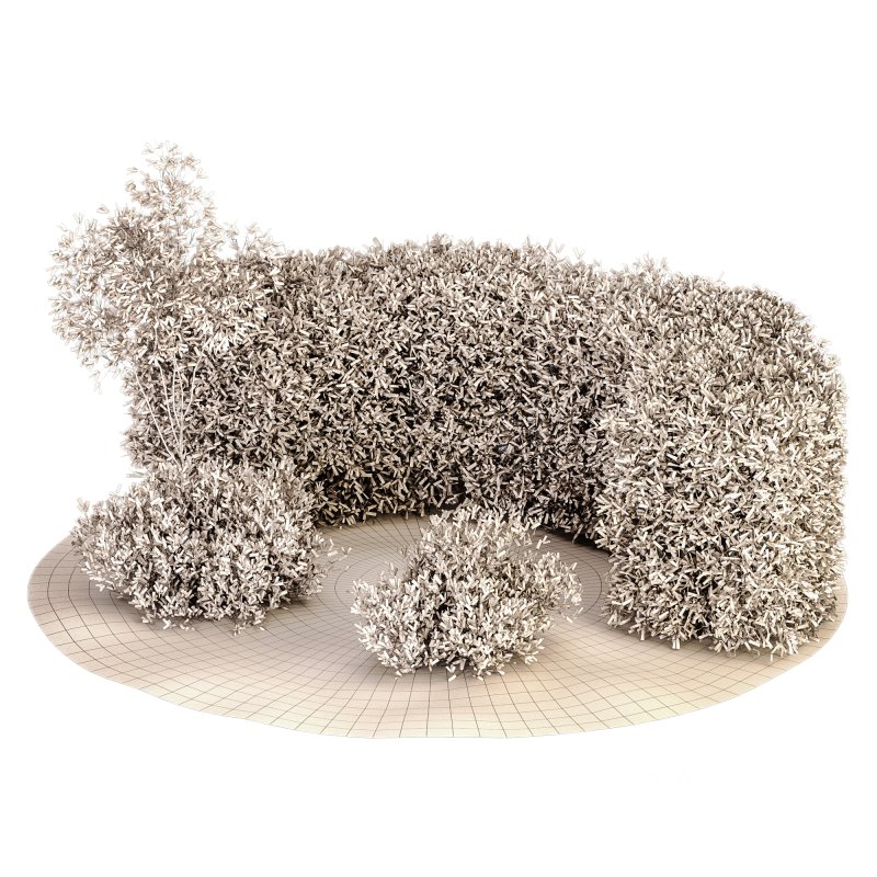 Outdoor Plant Set 08 Image 6