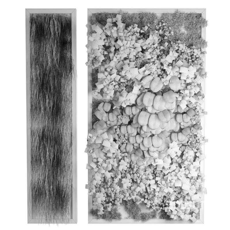 interior vertical plant set 338 Image 2