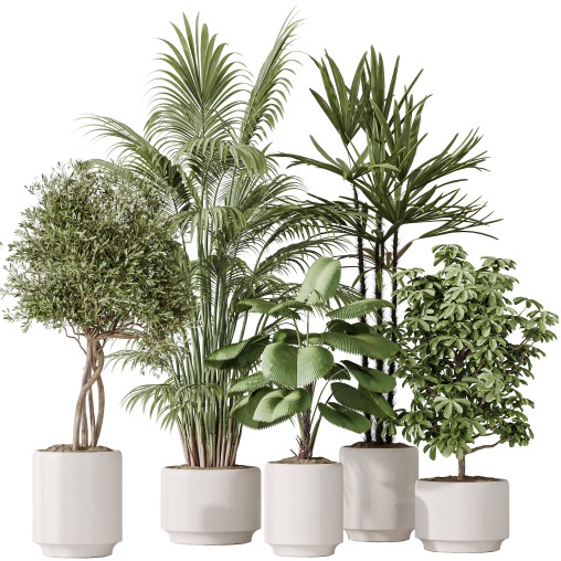 AV Indoor plants set 186 Olive Artificial and Arboricola Umbrella and Areca Palm and Rhapis Excelsa Lady Palm and Ruffled Fan Palm