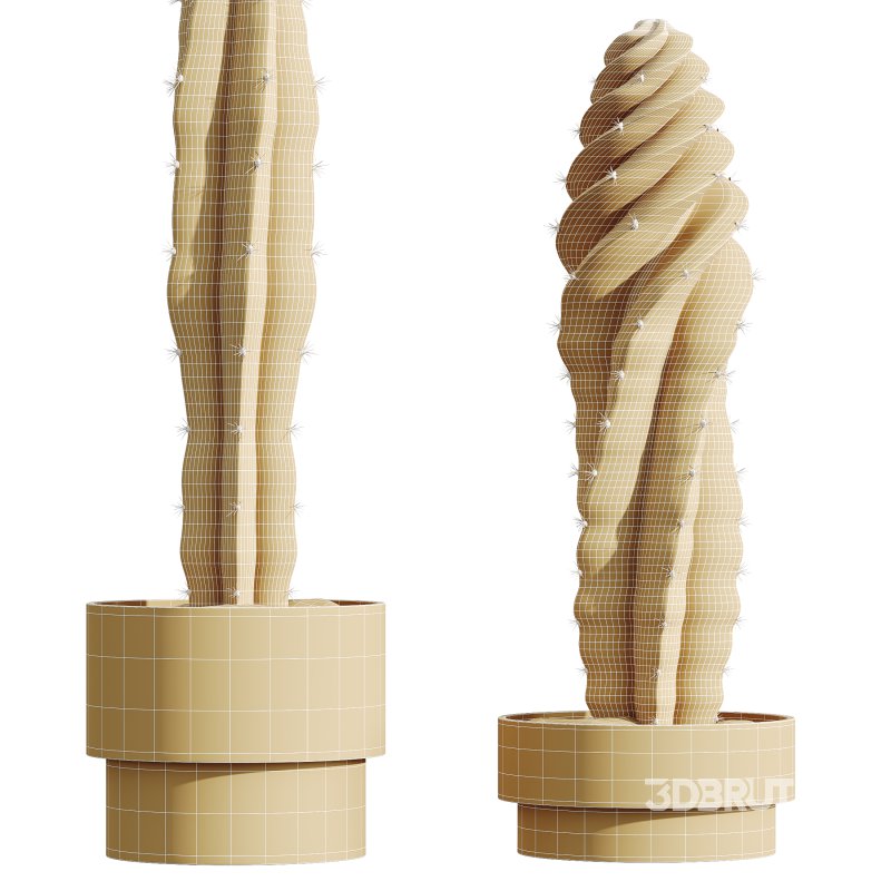 AV HousePlants Cactus Euphorbia Trigona Ingens Candelebra Tree Image 3