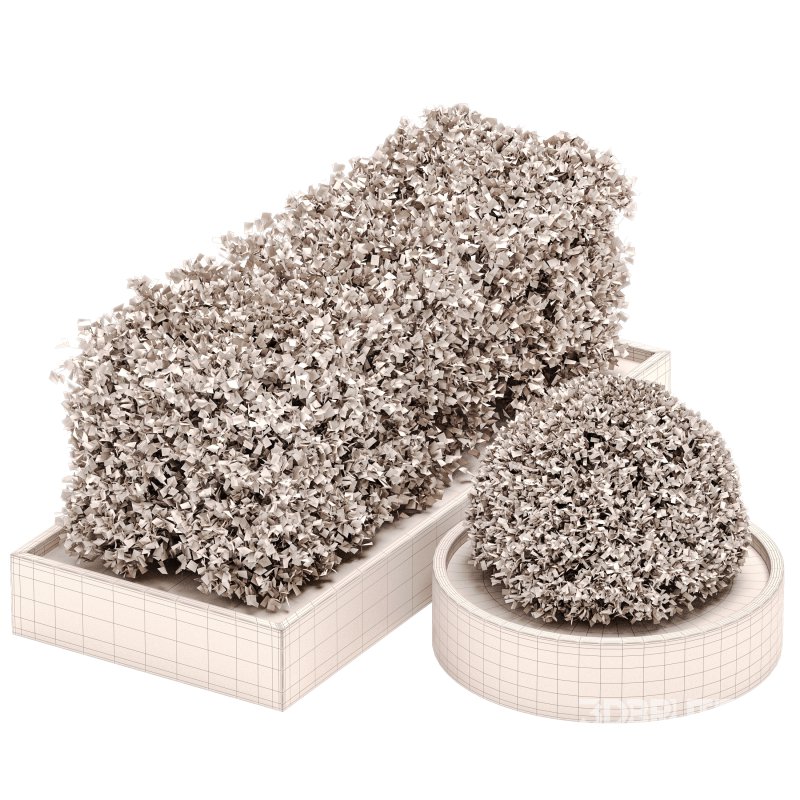 Outdoor Plant Set 06 Image 4