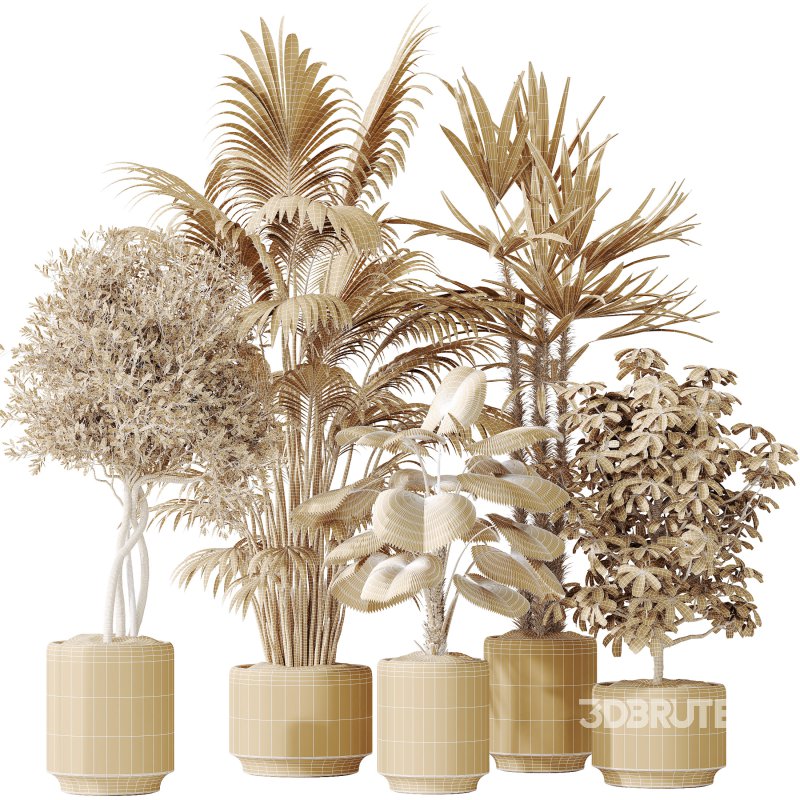 AV Indoor plants set 186 Olive Artificial and Arboricola Umbrella and Areca Palm and Rhapis Excelsa Lady Palm and Ruffled Fan Palm Image 8