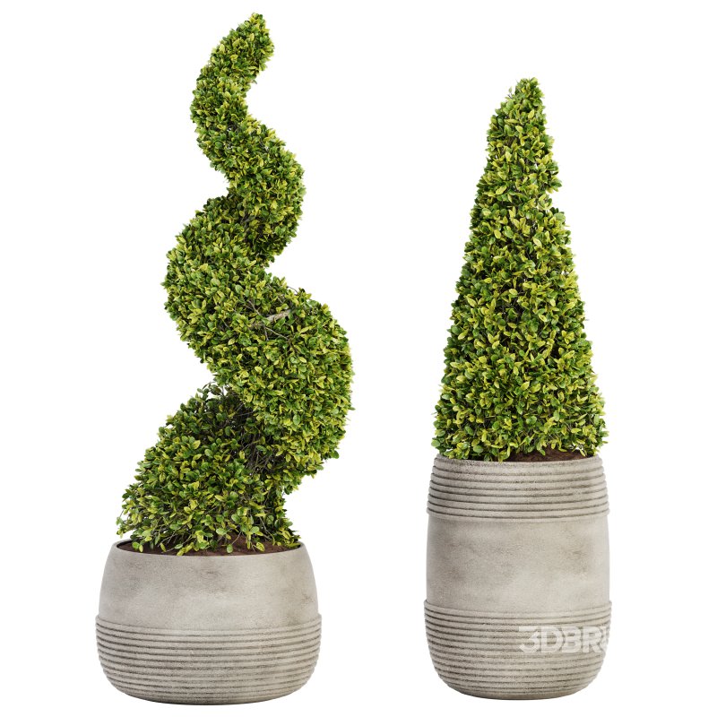 Outdoor Plant Set 03 Image 1