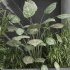 interior vertical partition and plant set 344 - Thumbnail 2