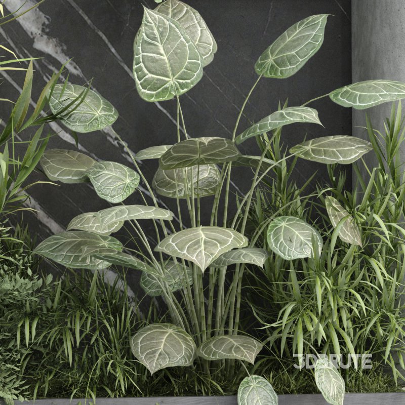 interior vertical partition and plant set 344 Image 2