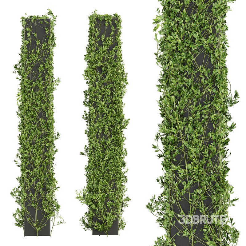 Outdoor Plant Set 012 Image 3