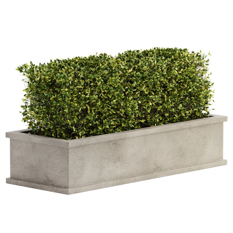 Outdoor Plant Set 04 Image 2