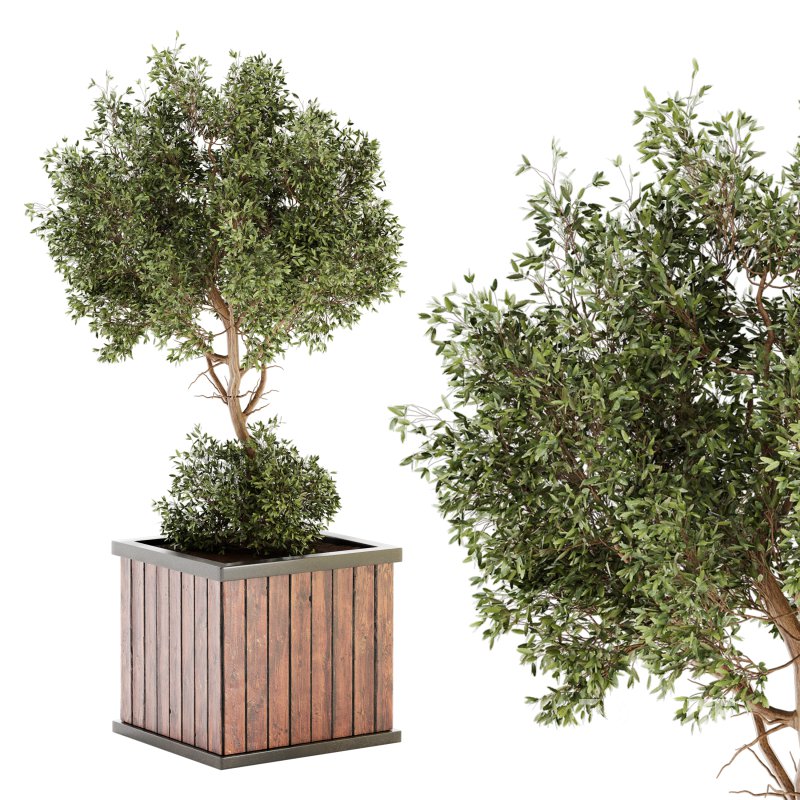 Urban environment 04 Image 1