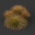 AV Carex Testacea Orange Sedge Grass Prairie Fire - Thumbnail 7