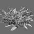 Chrysopogon aciculatus 03 - Thumbnail 6