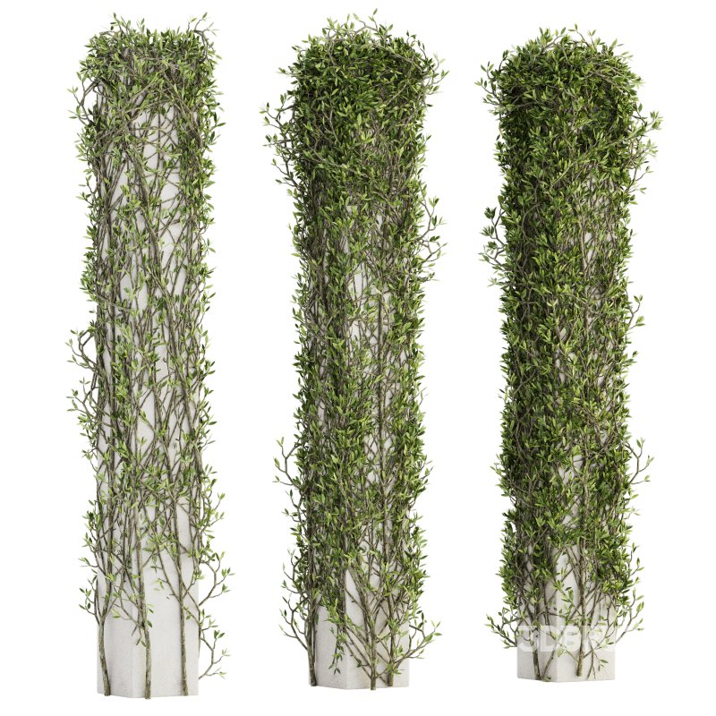 Outdoor Plant Set 010 Image 2