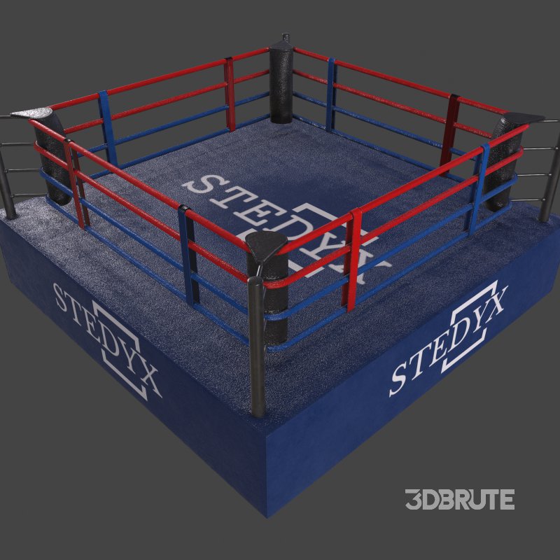 boxing ring Image 8