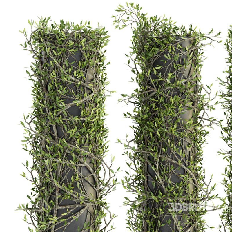 Outdoor Plant Set 09 Image 3