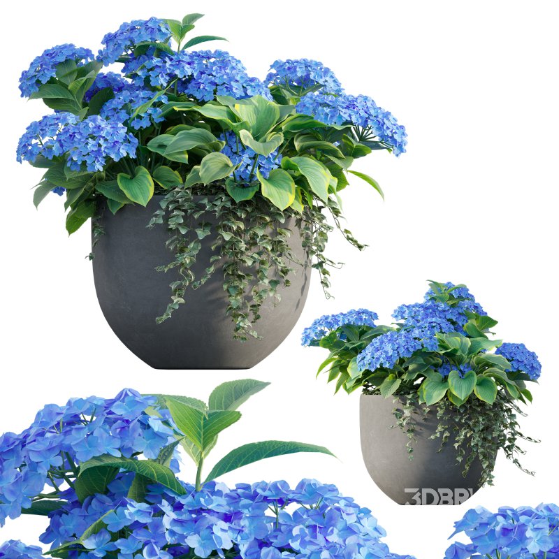 Pot plant 03 Image 3