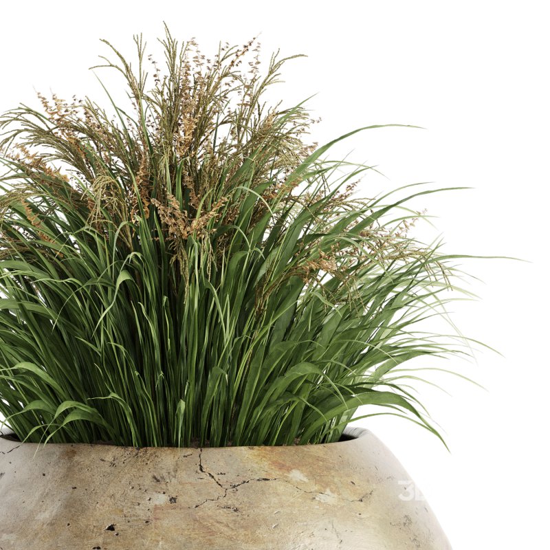 Outdoor Plant Set 016 Image 3