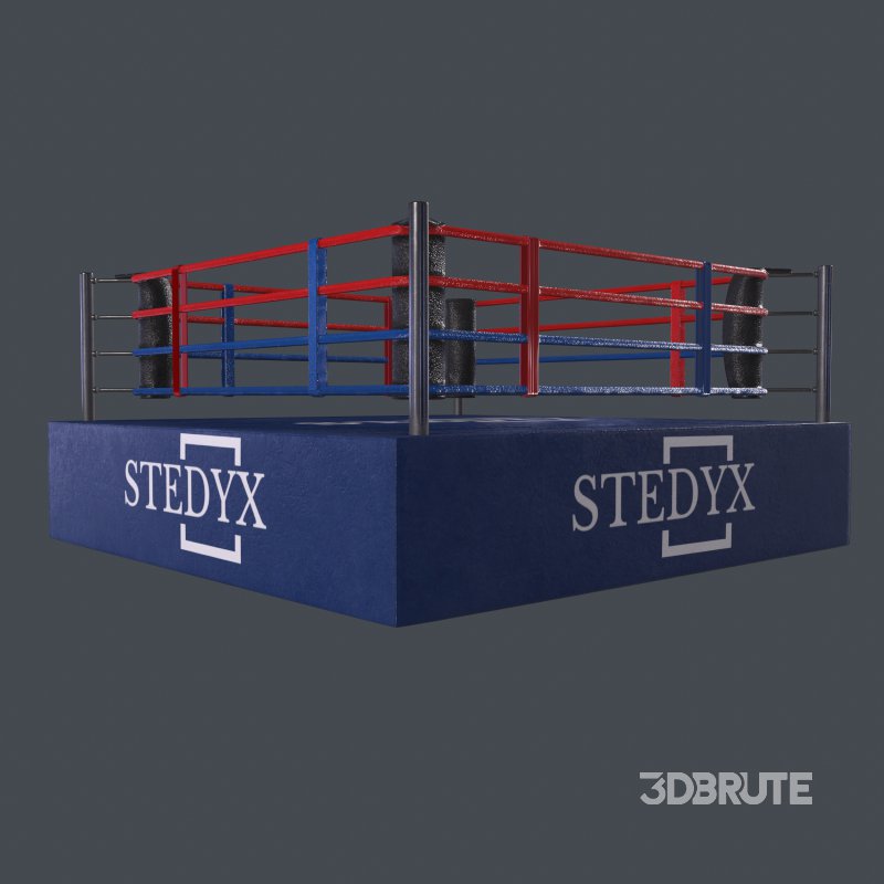 boxing ring Image 6