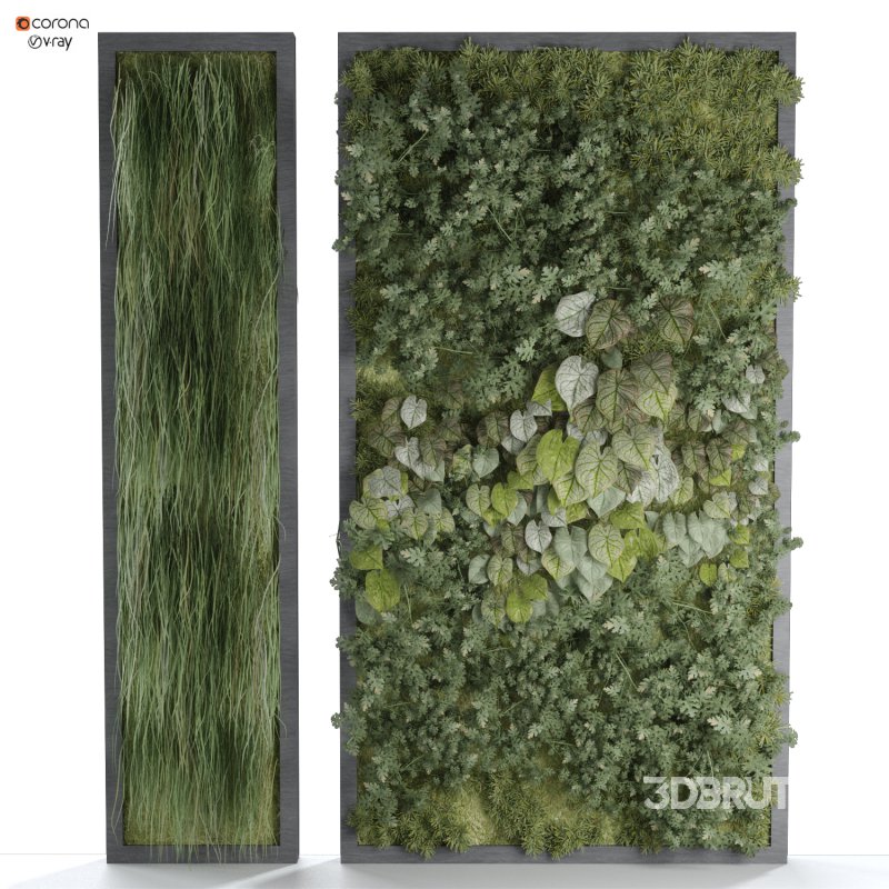 interior vertical plant set 338 Image 1