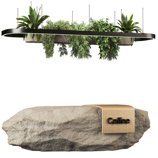 Reception Desk With Hanging Plants set12