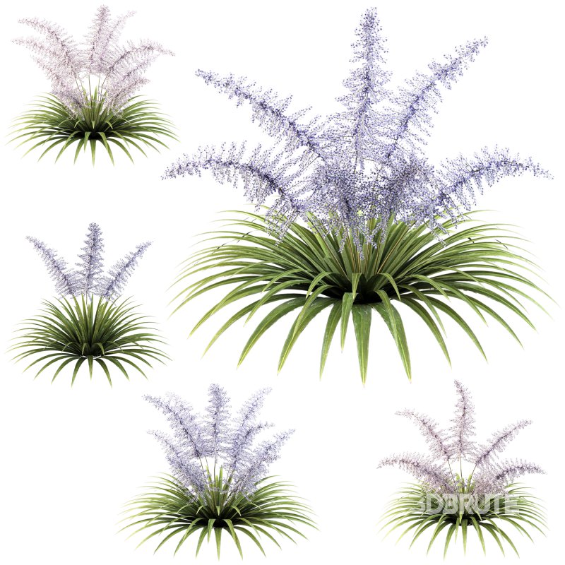 Lush garden shrub Image 5