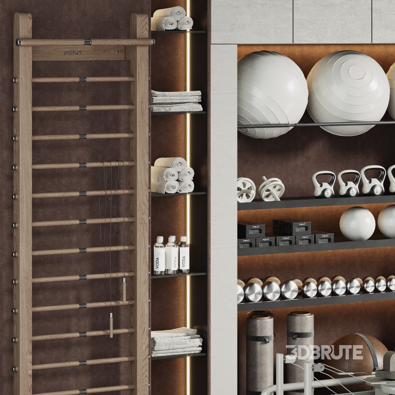 A Rack with gym equipment 01 Image 2